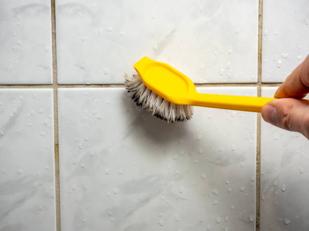 Best Attic Mold Removal  in Mount Pleasant, NC