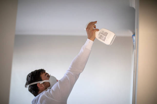 Best Office Mold Removal Services  in Mount Pleasant, NC