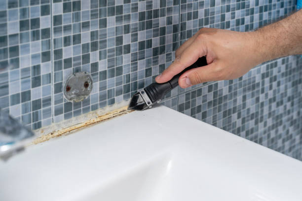 Best Mold Removal Near Me  in Mount Pleasant, NC